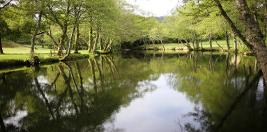 Rio Coura e Rio Minho